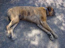 Resize of DSC05707.JPG